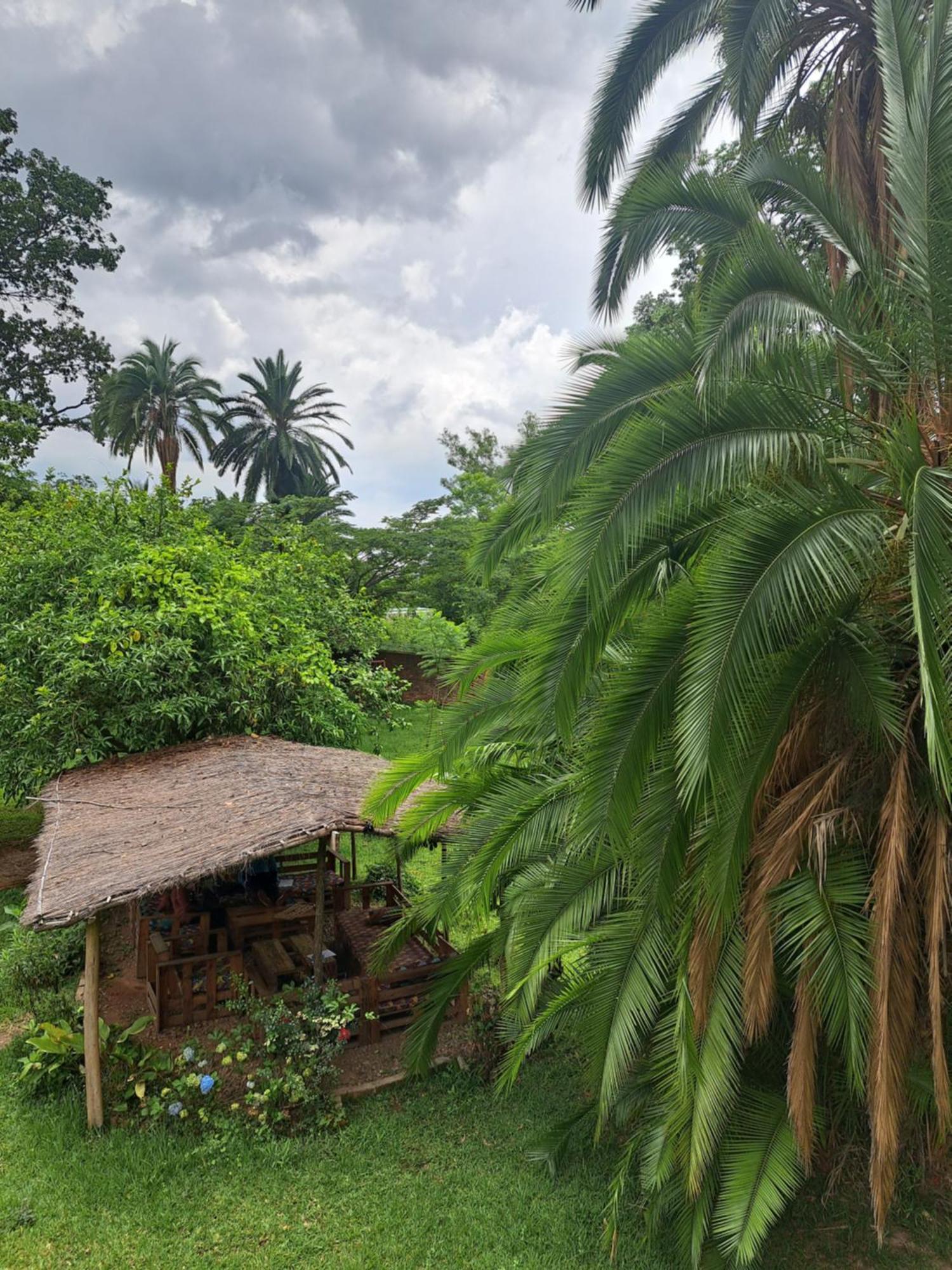 Blend Lodge And Kitchen - Pakachere Zomba Kültér fotó